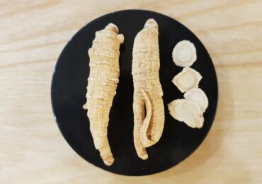 Sâm Tây Dương và tuổi trung niên