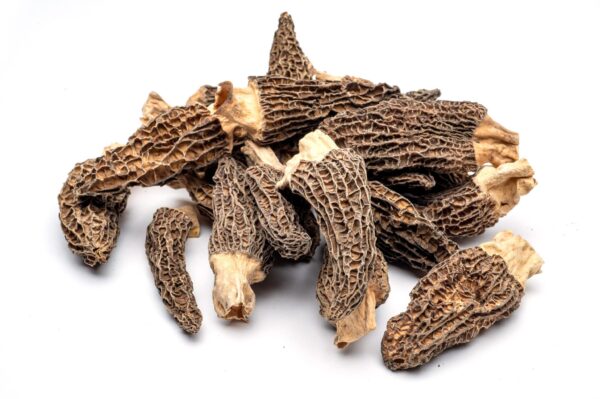 Mush-Dried-Morel Nấm quý bụng dê khô
