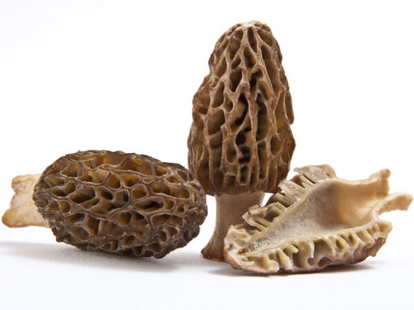 fnd_Morel-Mushrooms-Thinkstock_s4x3 Nấm quý bụng dê khô