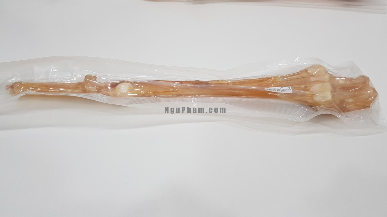 z4213957900754_1edcaaae3fc17f9dc9f2253d07ae7049