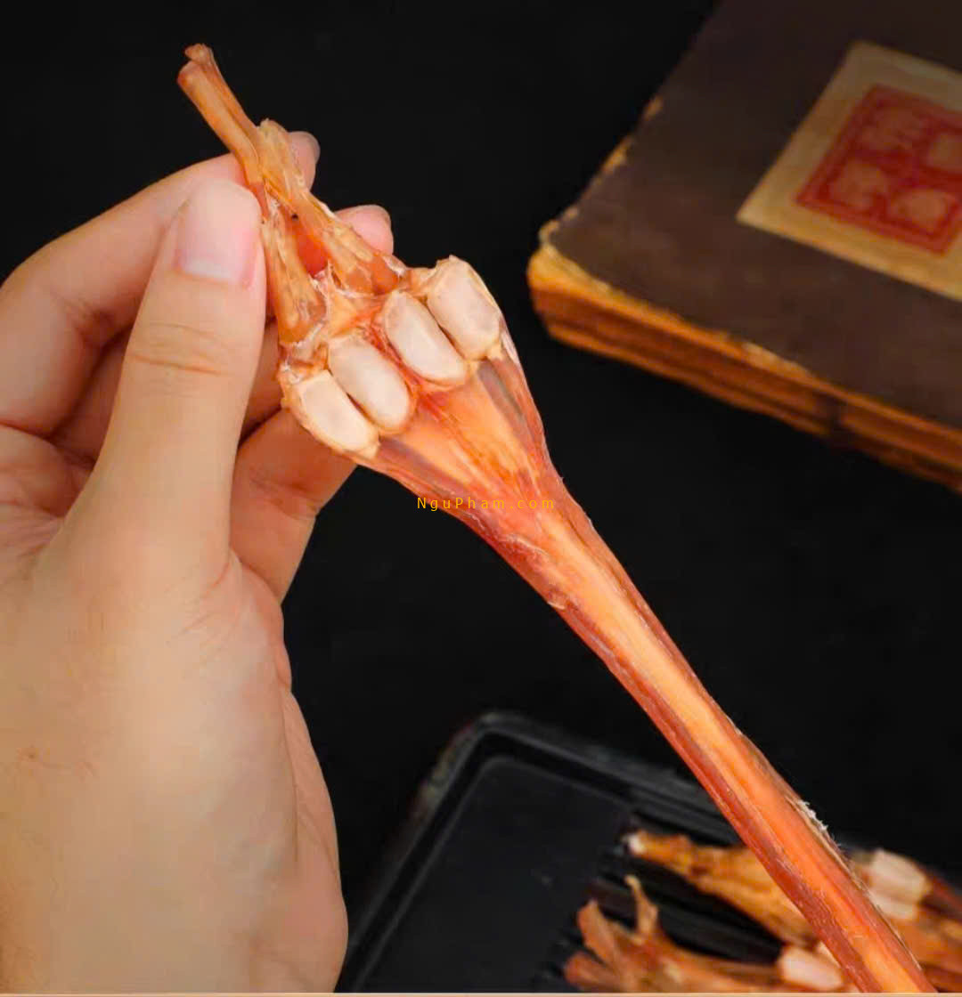 z6153145758871_0d9f8ad3b4a1704ff10d9d5c7717b1e9